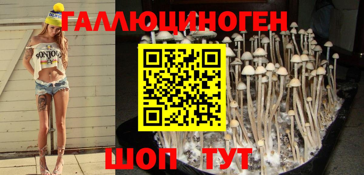 Маркс  Галлюциногенные грибы Cubensis  Вход с VPN 