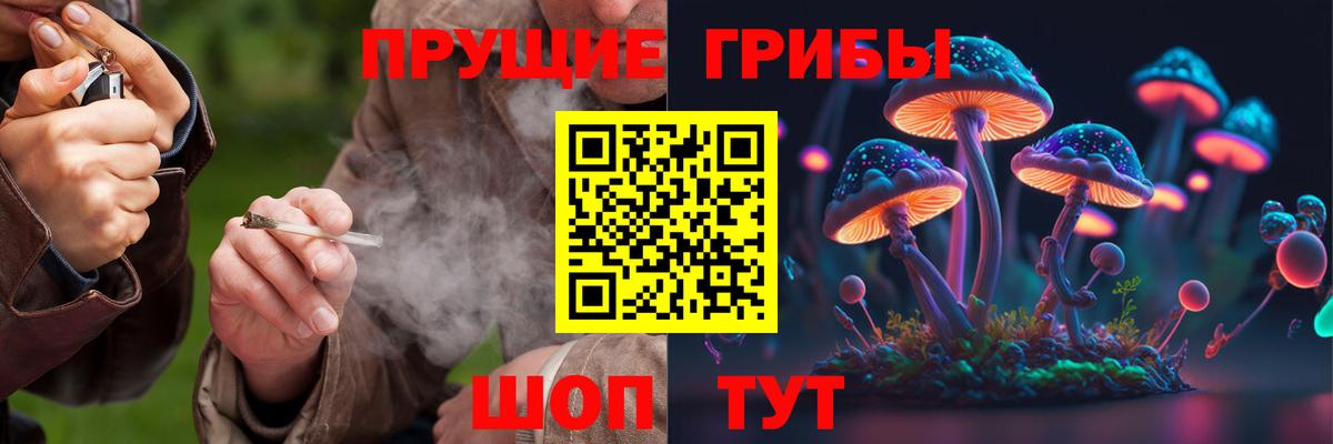 Псилоцибиновые грибы мицелий Маркс